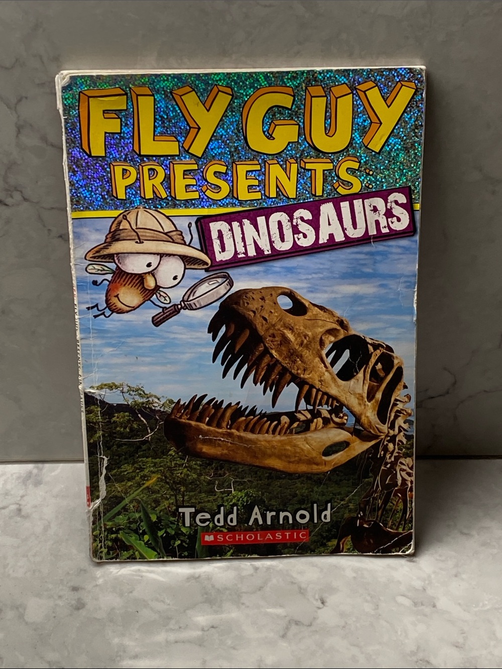 Scholastic Fly Guy Presents Dinosaurs